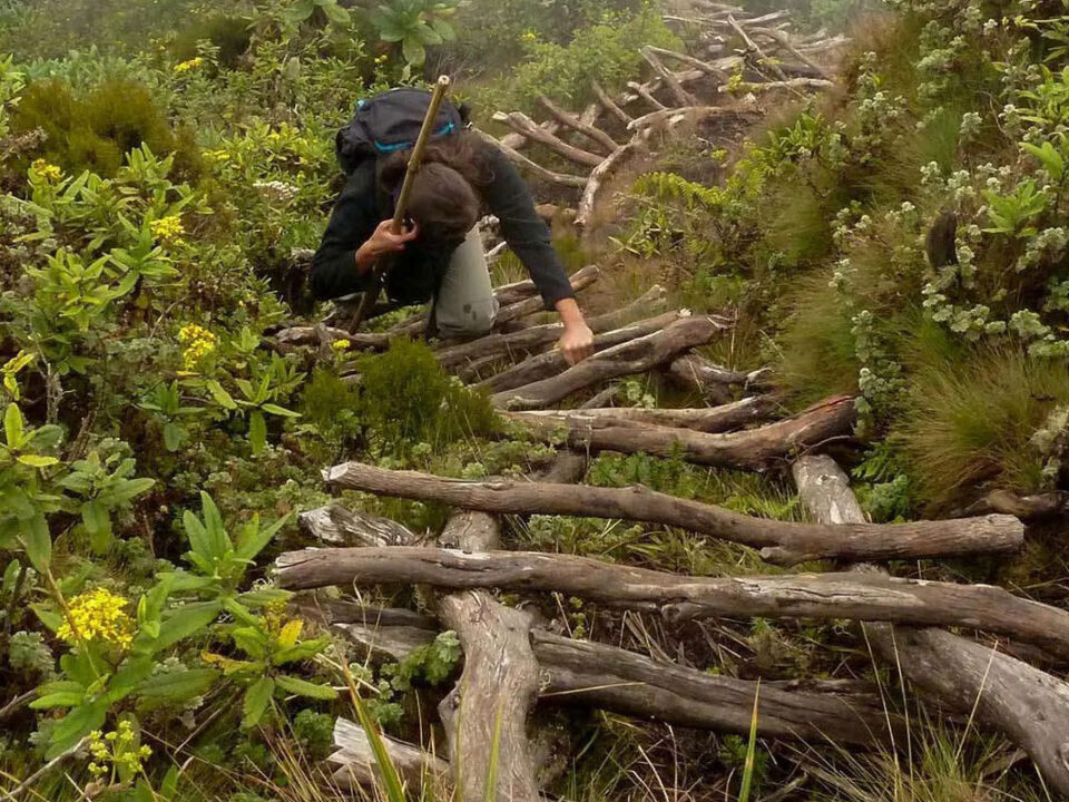 Hiking Mountain Sabyinyo