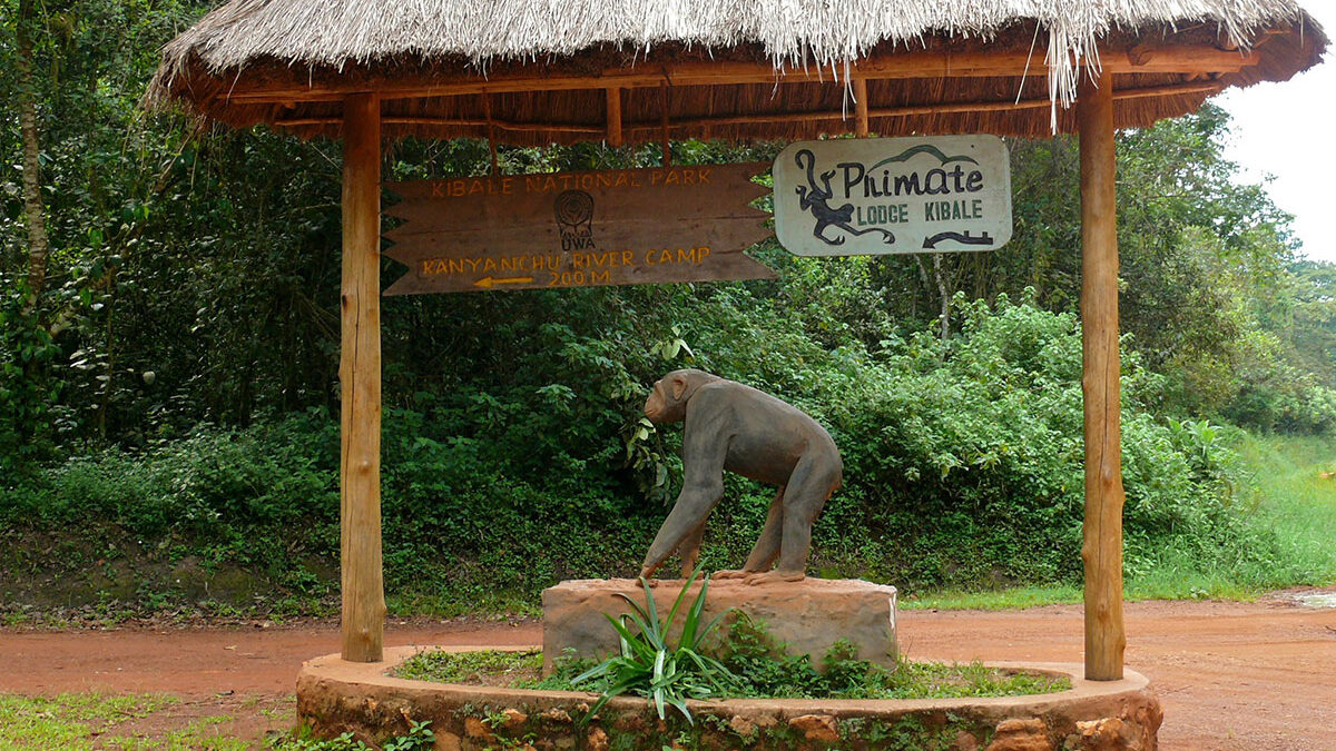 KIbale forest national park