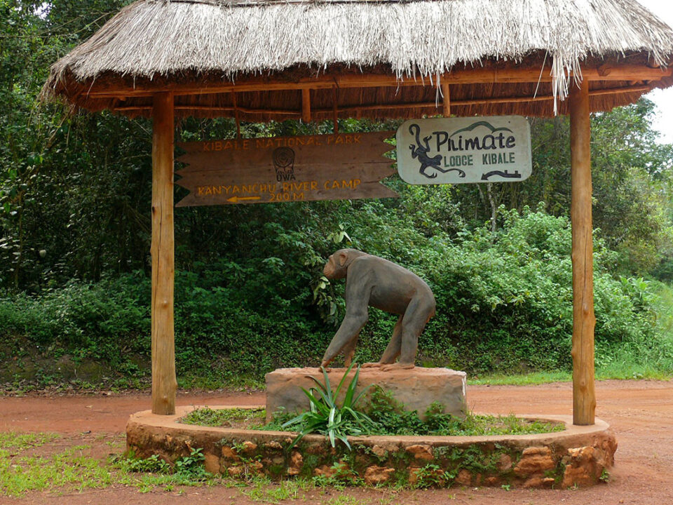 KIbale forest national park