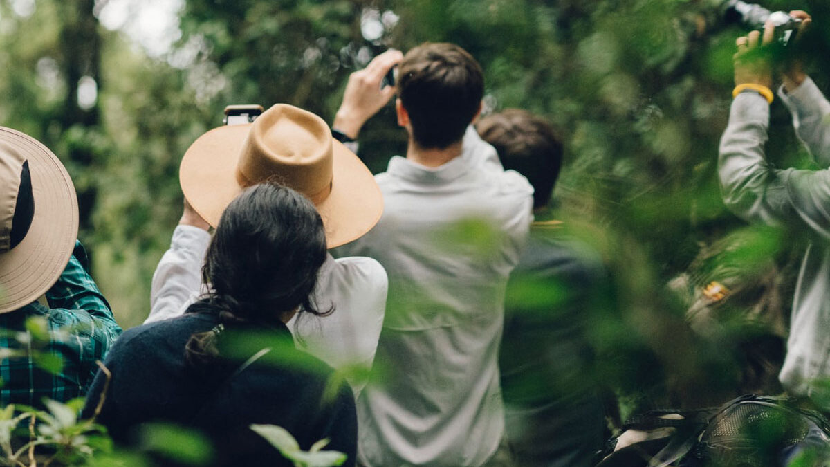 Gorilla trekking guide photos