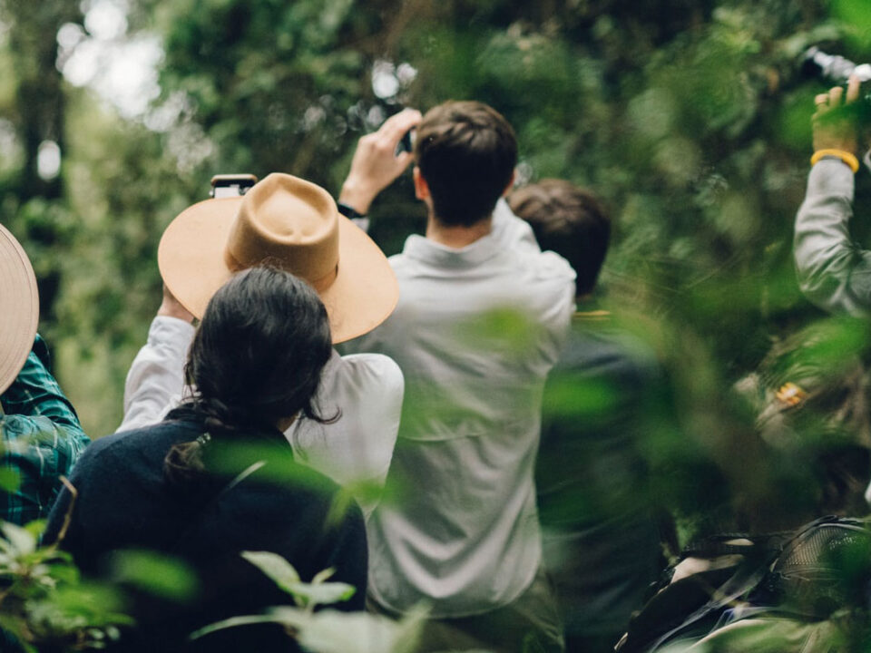 Gorilla trekking guide photos