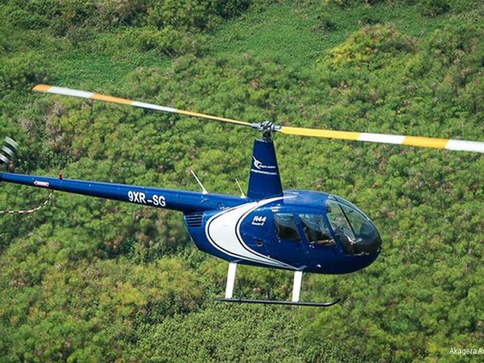 luxury fly-in safari