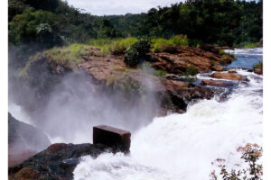 murchison falls national park