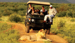  luxury safari