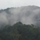 nkuringo trekking experience