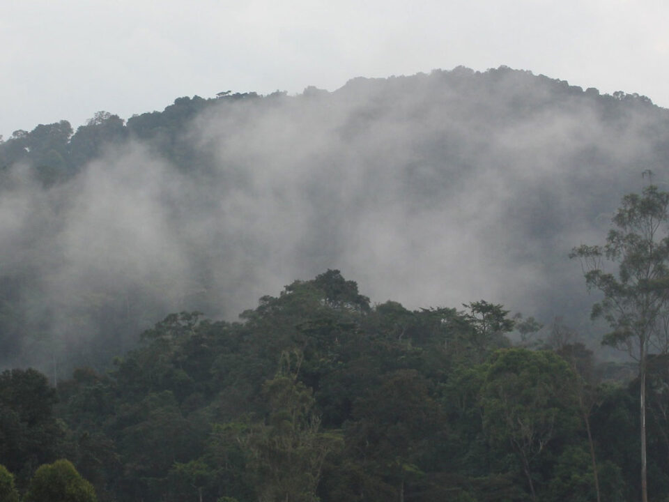 nkuringo trekking experience