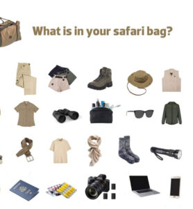Gorilla trekking packlist